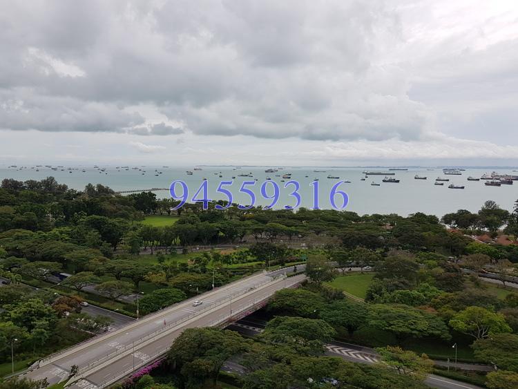 Lagoon View (D15), Apartment #160734872